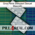 Gros Pénis Stimulant Sexuel Masculin 17